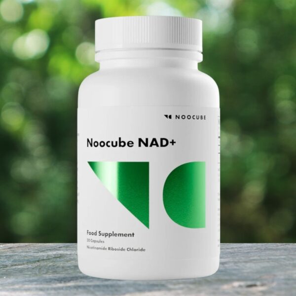 noocube cost