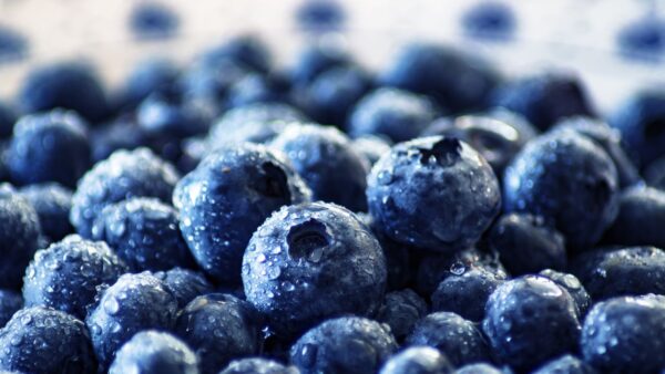 blueberry and mint tonic for gout sufferers