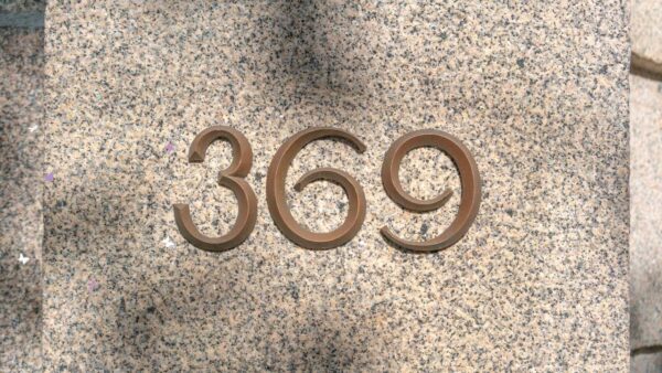 does 369 manifestation method really work